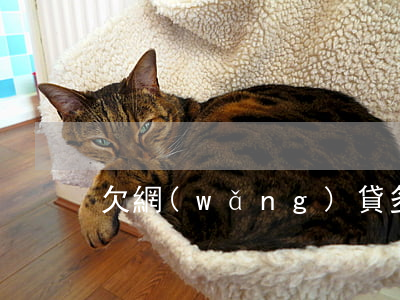 欠網(wǎng)貸多少錢起被起訴