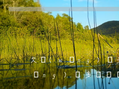 欠網(wǎng)貸多長時間立案(欠網(wǎng)貸多長時間立案)