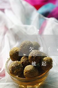 欠網(wǎng)貸大概多久會(huì)被起訴(欠網(wǎng)貸多久以上才會(huì)被起訴)