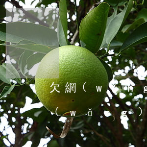 欠網(wǎng)貸太多不知道怎么辦(欠網(wǎng)貸欠太多最好處理辦法)