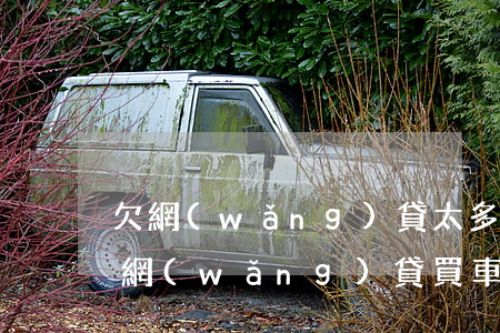 欠網(wǎng)貸太多可以分期買車嗎(欠網(wǎng)貸買車能不能分期付款)