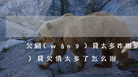 欠網(wǎng)貸太多咋辦(網(wǎng)貸欠債太多了怎么辦)