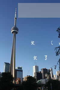 欠網(wǎng)貸太多坦白怕父母受不了(欠了網(wǎng)貸跟父母坦白欠錢的經(jīng)歷)