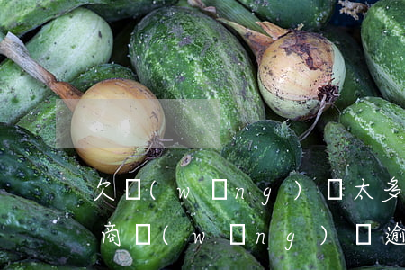 欠網(wǎng)貸太多如何協(xié)商(網(wǎng)貸逾期找誰(shuí)協(xié)商管用)
