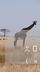 欠網(wǎng)貸太多如何走出困境(欠網(wǎng)貸會(huì)怎樣)