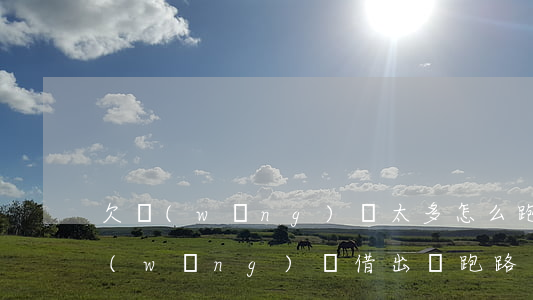 欠網(wǎng)貸太多怎么跑路(把所有網(wǎng)貸借出來跑路)