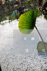欠網(wǎng)貸太多怎么辦最有效的方法-欠網(wǎng)貸太多怎么解決