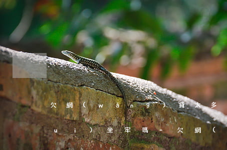 欠網(wǎng)貸太多沒能力償還會(huì)坐牢嗎-欠網(wǎng)貸太多沒能力償還會(huì)坐牢嗎知乎