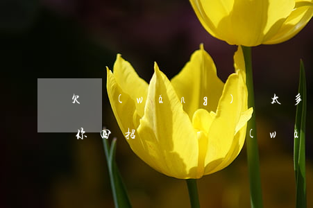 欠網(wǎng)貸太多無力償還怎么辦?教你四招應對-網(wǎng)貸欠太多無力償還怎么處理