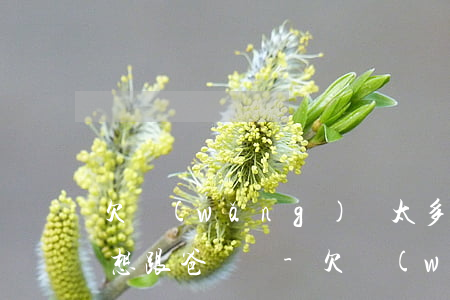 欠網(wǎng)貸太多無力償還怎辦,又不想跟爸媽說-欠網(wǎng)貸不敢跟父母說怎么辦