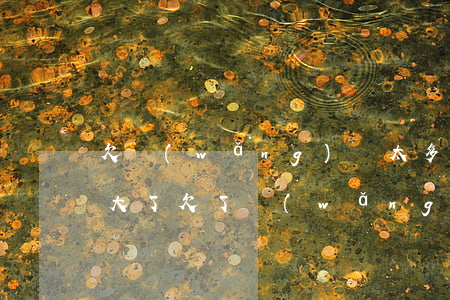 欠網(wǎng)貸太多 父母年紀(jì)大了(欠了網(wǎng)貸是不是要父母還)