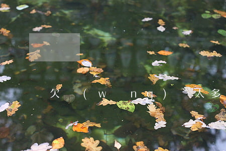 欠網(wǎng)貸太多被起訴