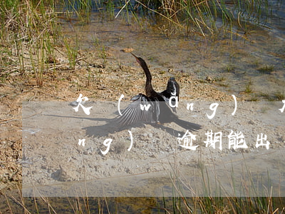 欠網(wǎng)貸太多離家打工(網(wǎng)貸逾期能出門(mén)打工嗎)