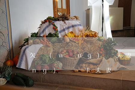欠網(wǎng)貸夫妻(老公欠的網(wǎng)貸屬于夫妻)