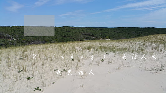 欠網(wǎng)貸失信人(欠網(wǎng)貸是失信人員嗎)