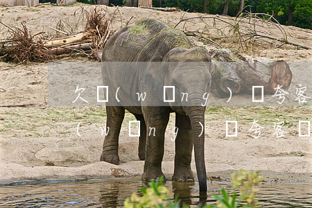 欠網(wǎng)貸夸客還不上怎么辦(欠網(wǎng)貸夸客還不上怎么辦)