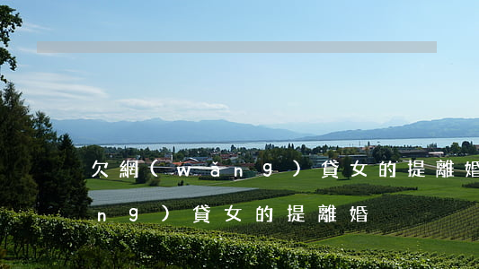 欠網(wǎng)貸女的提離婚(欠網(wǎng)貸女的提離婚)