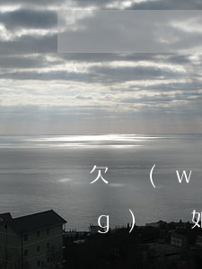欠網(wǎng)貸如何償還(欠網(wǎng)貸如何還清)