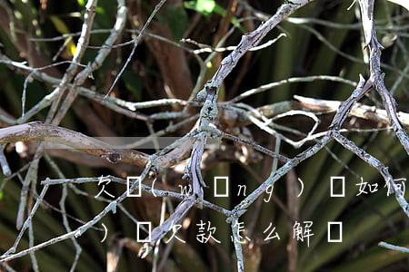 欠網(wǎng)貸如何分解(網(wǎng)貸欠款怎么解決)