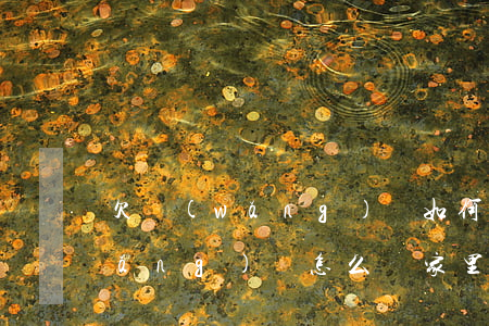 欠網(wǎng)貸如何告知家人(欠網(wǎng)貸怎么給家里人說(shuō))
