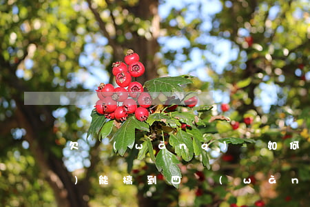 欠網(wǎng)貸如何在幾天內(nèi)能搞到四萬(wàn)-