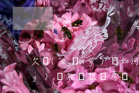 欠網(wǎng)貸如何買房(欠網(wǎng)貸能貸款買房嗎)