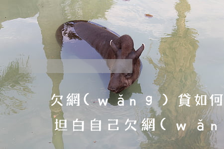 欠網(wǎng)貸如何跟父母坦白(向父母坦白自己欠網(wǎng)貸怎么說)