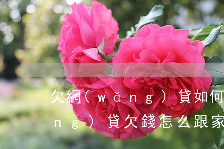 欠網(wǎng)貸如何開口坦白(網(wǎng)貸欠錢怎么跟家里人坦白)