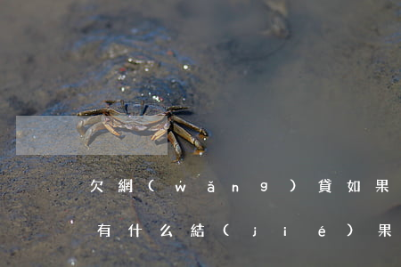 欠網(wǎng)貸如果不還會(huì)有什么結(jié)果(欠網(wǎng)貸不還后果嚴(yán)重嗎)