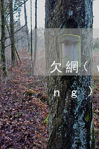 欠網(wǎng)貸如果意外死亡(網(wǎng)貸 死亡)