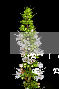 欠網(wǎng)貸如果法院起訴了怎么辦呢-欠網(wǎng)貸如果法院起訴了怎么辦呢怎么解決