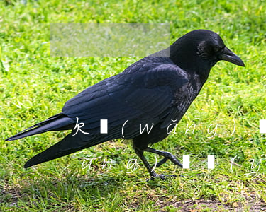 欠網(wǎng)貸妻子要求離婚(欠網(wǎng)貸應(yīng)不應(yīng)該離婚)