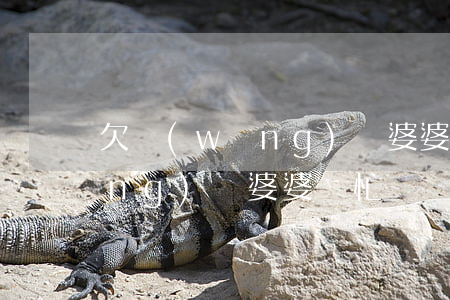 欠網(wǎng)貸 婆婆幫忙還(欠網(wǎng)貸 婆婆幫忙還)