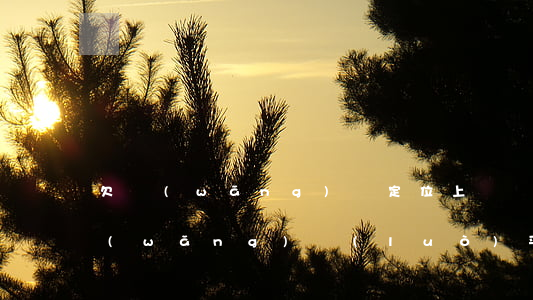 欠網(wǎng)貸定位上門來是真的嗎(網(wǎng)絡(luò)平臺(tái)欠款會(huì)上門嗎)