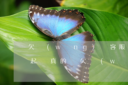 欠網(wǎng)貸客服申請(qǐng)起訴真的嗎(欠網(wǎng)貸起訴了怎么辦)