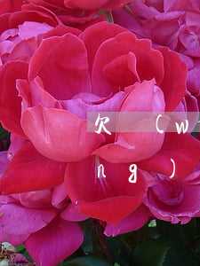 欠網(wǎng)貸家人知道了(欠網(wǎng)貸會影響家人嗎)