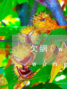 欠網(wǎng)貸家人能不管嗎(欠了網(wǎng)貸不敢告訴家人)