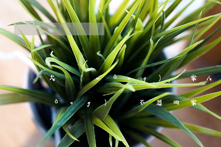 欠網(wǎng)貸家人讓回家(欠了網(wǎng)貸不想回家)