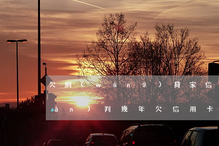 欠網(wǎng)貸家信用卡二十多萬(wàn)判幾年(欠信用卡和網(wǎng)貸二十萬(wàn)怎么辦)