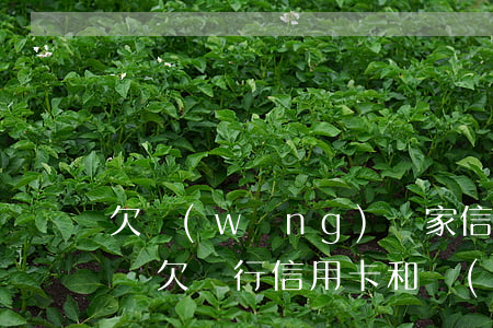 欠網(wǎng)貸家信用卡沒錢還了怎么辦(欠銀行信用卡和網(wǎng)貸還不上怎么辦)