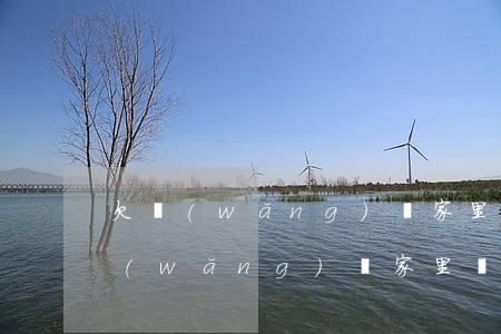 欠網(wǎng)貸家里幫不上怎么辦(欠網(wǎng)貸家里幫不上怎么辦)