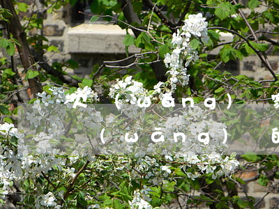 欠網(wǎng)貸家里收到信封(老家收到網(wǎng)貸的信函)