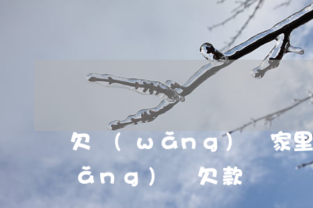 欠網(wǎng)貸家里沒錢怎么辦(網(wǎng)貸欠款沒錢還怎么辦)