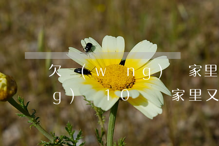 欠網(wǎng)貸家里沒錢(欠網(wǎng)貸10幾萬家里又沒錢)