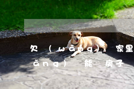 欠網(wǎng)貸家里買房子了(欠網(wǎng)貸能買房子嗎)
