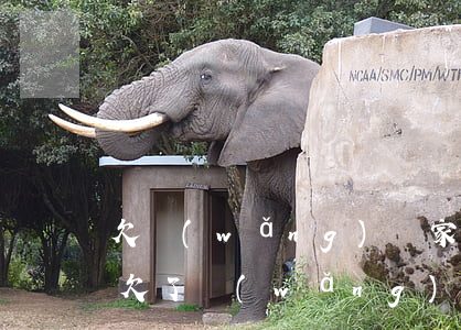 欠網(wǎng)貸家里還不上還要坦白嗎(欠了網(wǎng)貸如何跟家里人坦白)