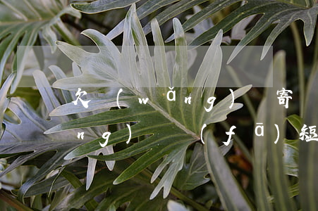 欠網(wǎng)貸寄訴前通知涵(網(wǎng)貸發(fā)短信訴前通知)