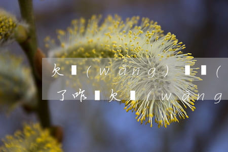 欠網(wǎng)貸實(shí)在還不起了咋辦(欠網(wǎng)貸還不起會(huì)怎樣)