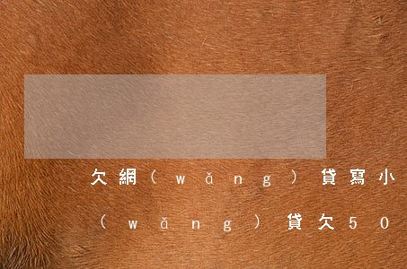 欠網(wǎng)貸寫小說(shuō)(網(wǎng)貸欠5000)