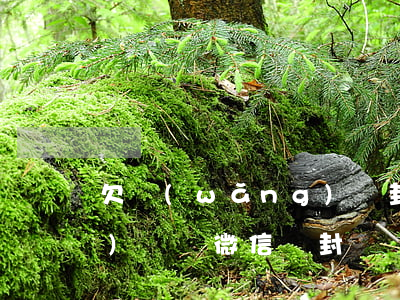 欠網(wǎng)貸封微信(欠網(wǎng)貸錢微信會封嗎)